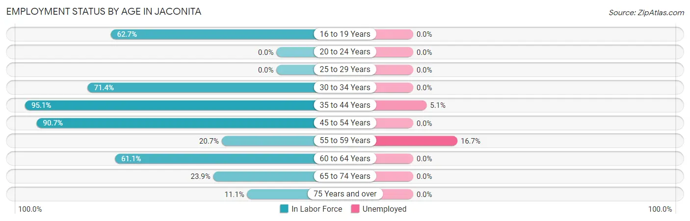 Employment Status by Age in Jaconita