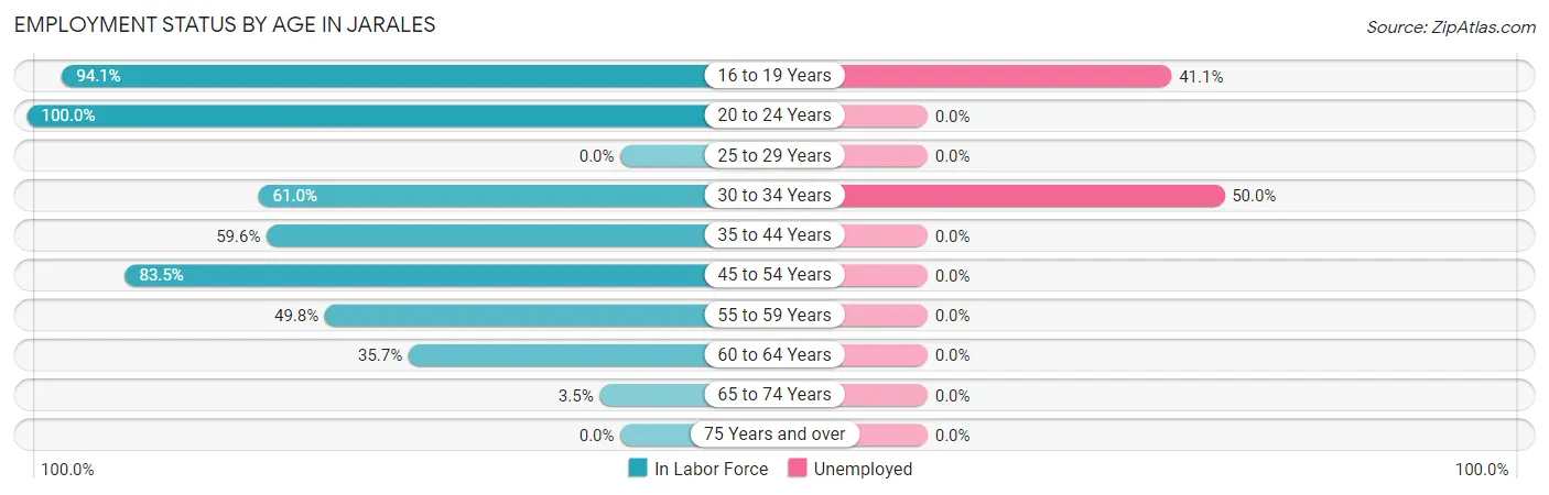 Employment Status by Age in Jarales