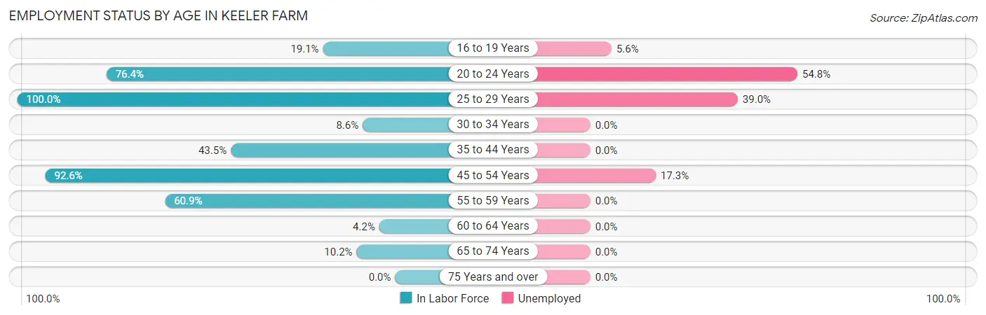 Employment Status by Age in Keeler Farm