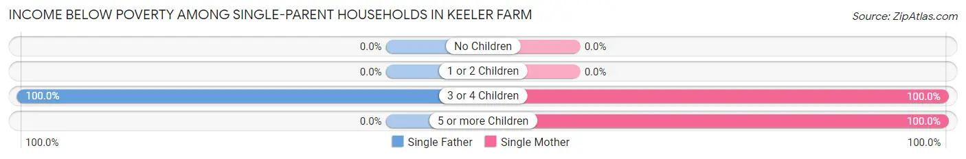 Income Below Poverty Among Single-Parent Households in Keeler Farm