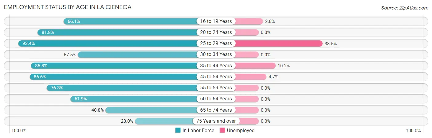 Employment Status by Age in La Cienega