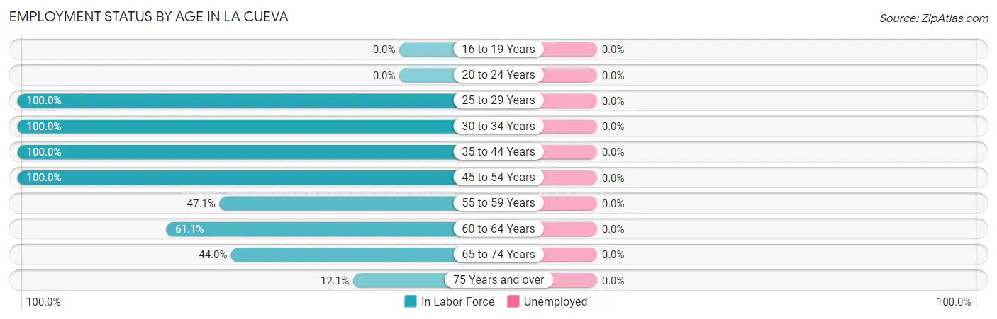 Employment Status by Age in La Cueva