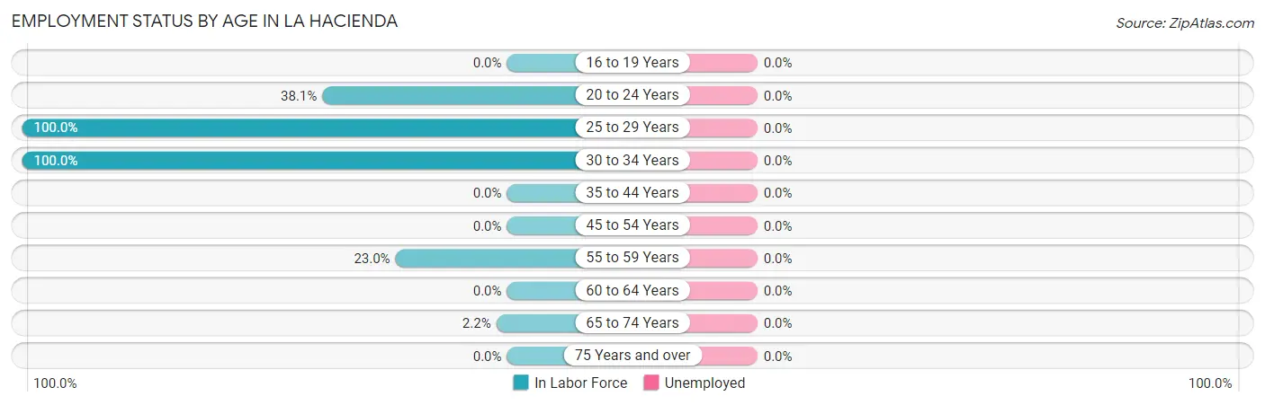 Employment Status by Age in La Hacienda