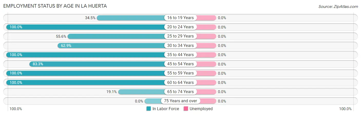Employment Status by Age in La Huerta