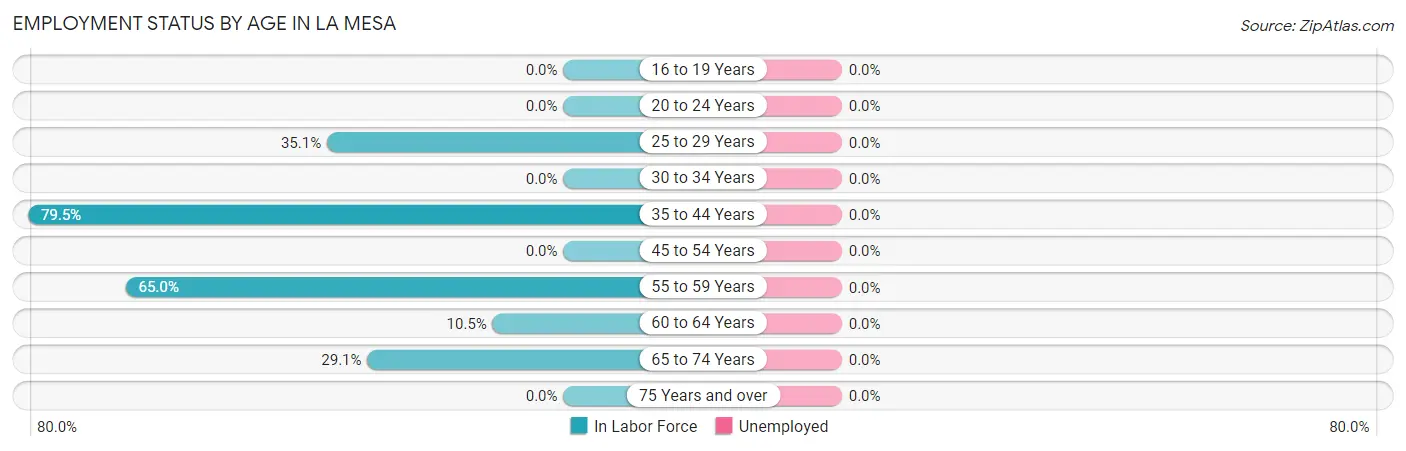 Employment Status by Age in La Mesa