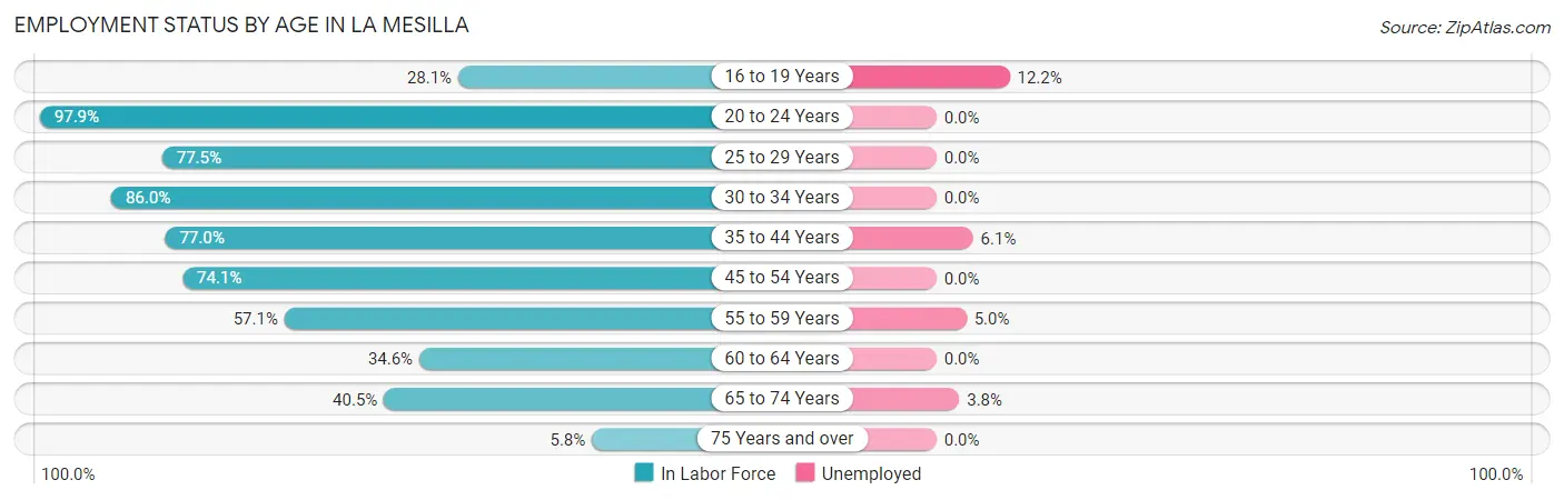 Employment Status by Age in La Mesilla