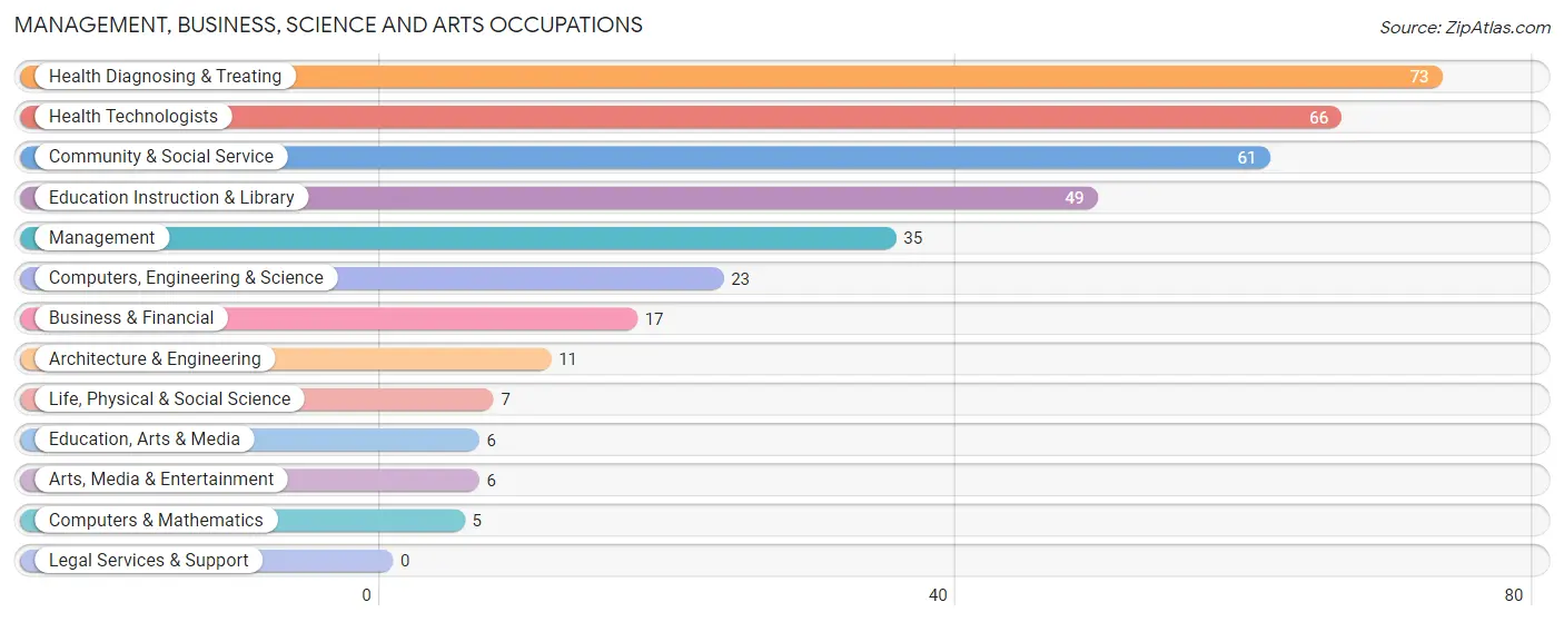 Management, Business, Science and Arts Occupations in La Plata