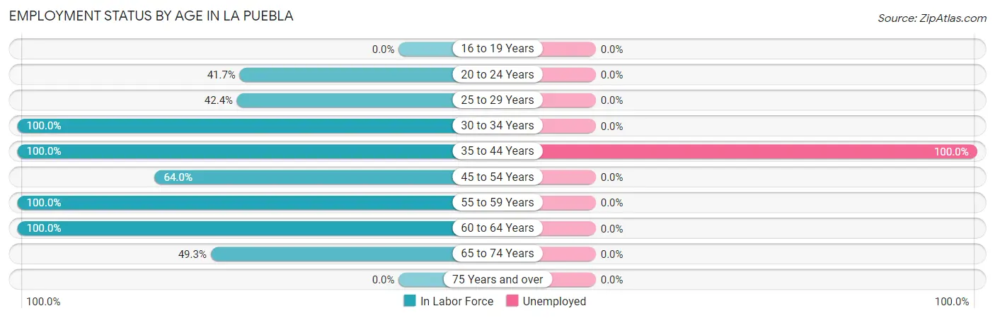 Employment Status by Age in La Puebla