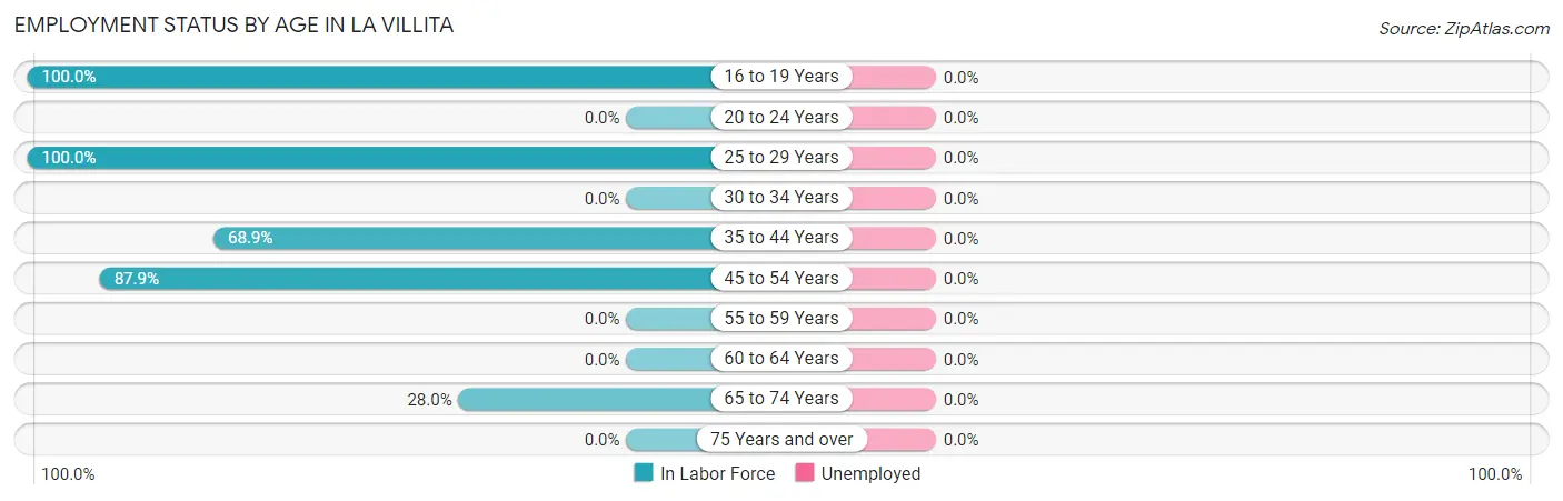 Employment Status by Age in La Villita