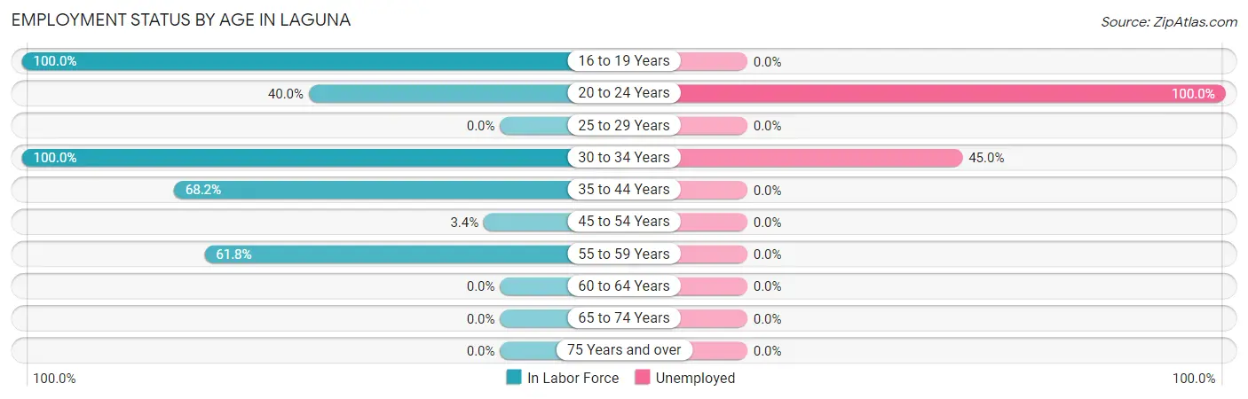 Employment Status by Age in Laguna