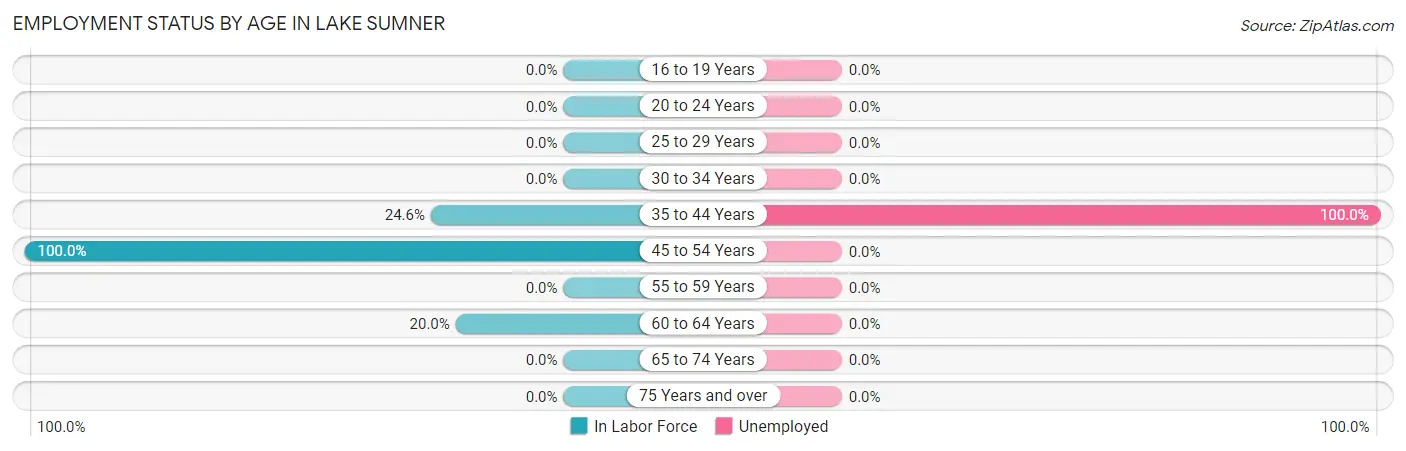 Employment Status by Age in Lake Sumner