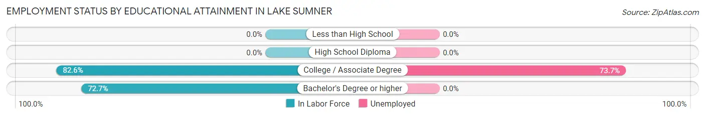 Employment Status by Educational Attainment in Lake Sumner