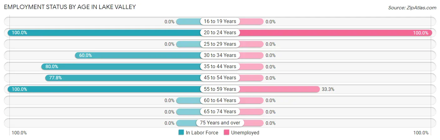 Employment Status by Age in Lake Valley