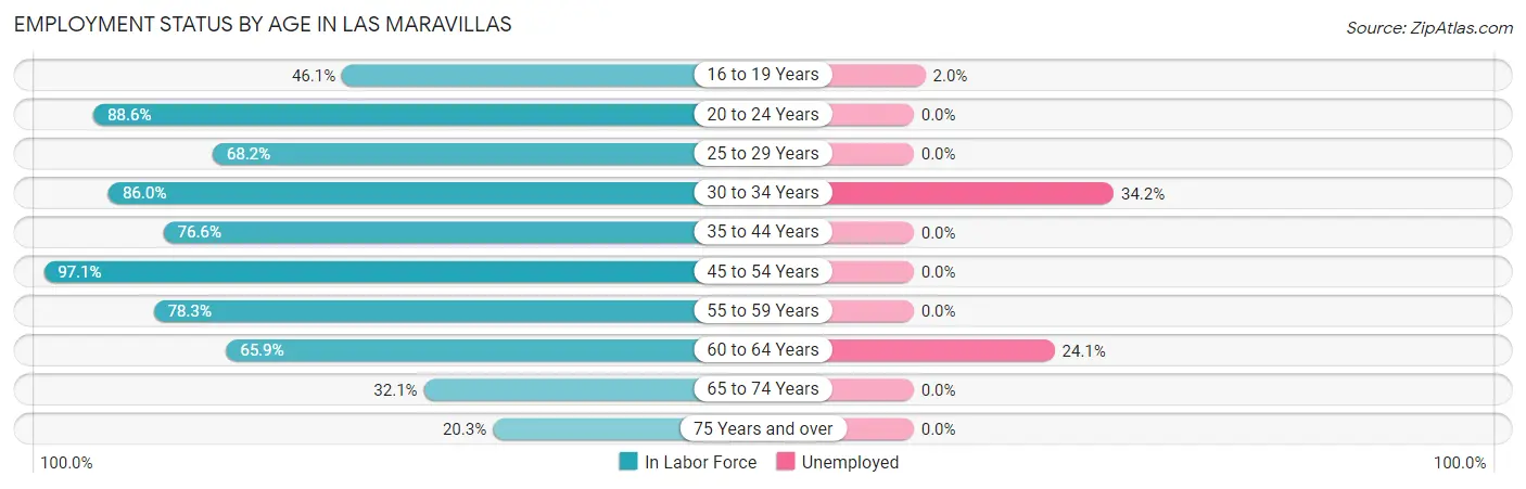 Employment Status by Age in Las Maravillas