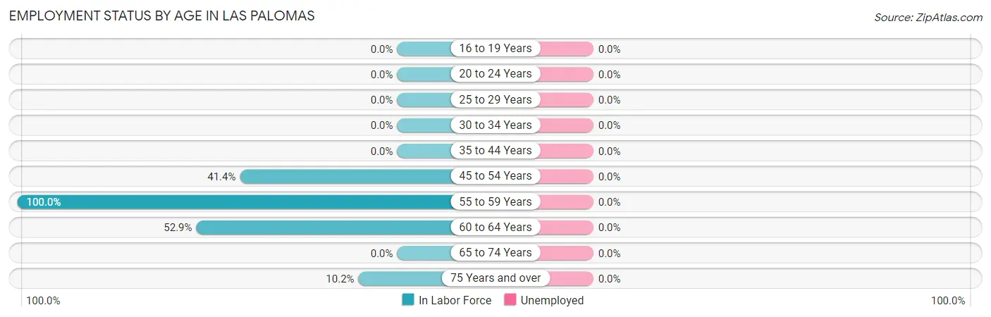 Employment Status by Age in Las Palomas