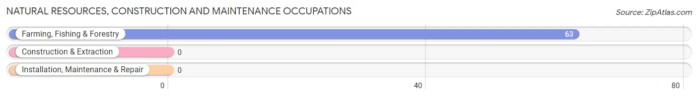 Natural Resources, Construction and Maintenance Occupations in Las Tusas