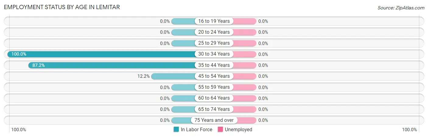 Employment Status by Age in Lemitar