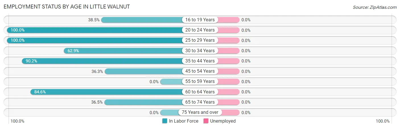 Employment Status by Age in Little Walnut