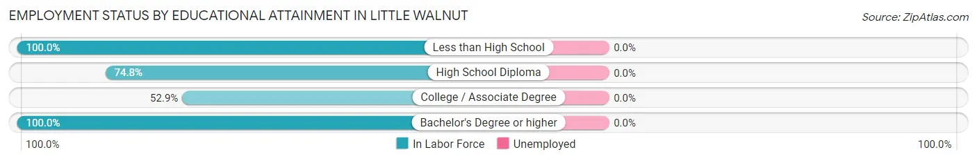Employment Status by Educational Attainment in Little Walnut
