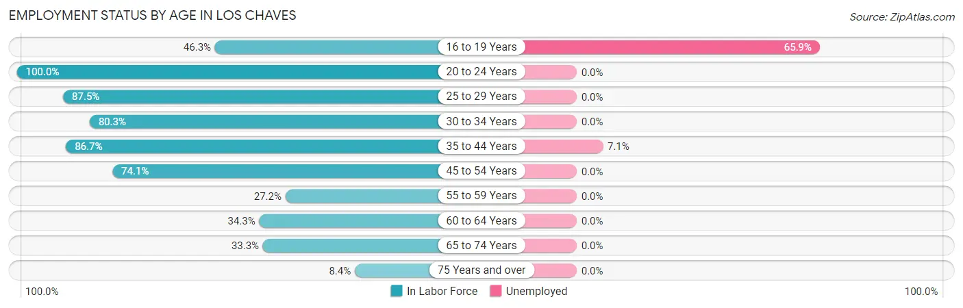 Employment Status by Age in Los Chaves