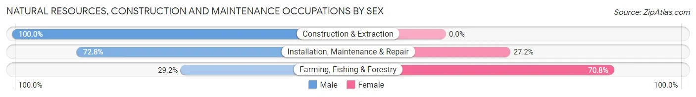 Natural Resources, Construction and Maintenance Occupations by Sex in Los Chaves