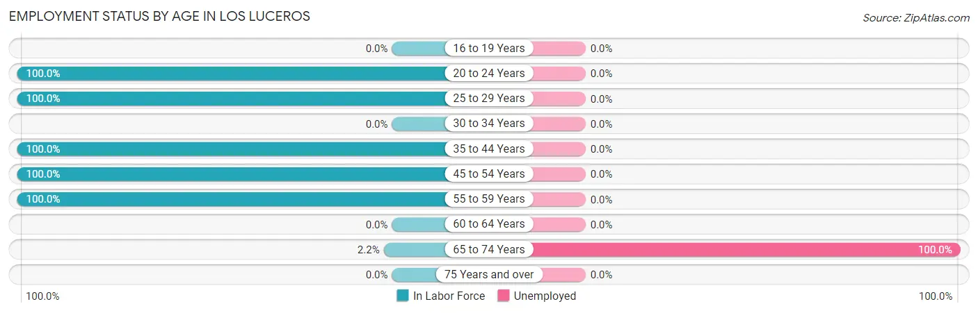 Employment Status by Age in Los Luceros