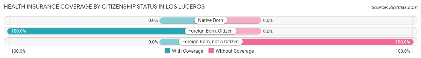 Health Insurance Coverage by Citizenship Status in Los Luceros
