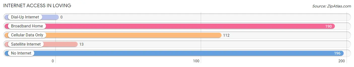 Internet Access in Loving