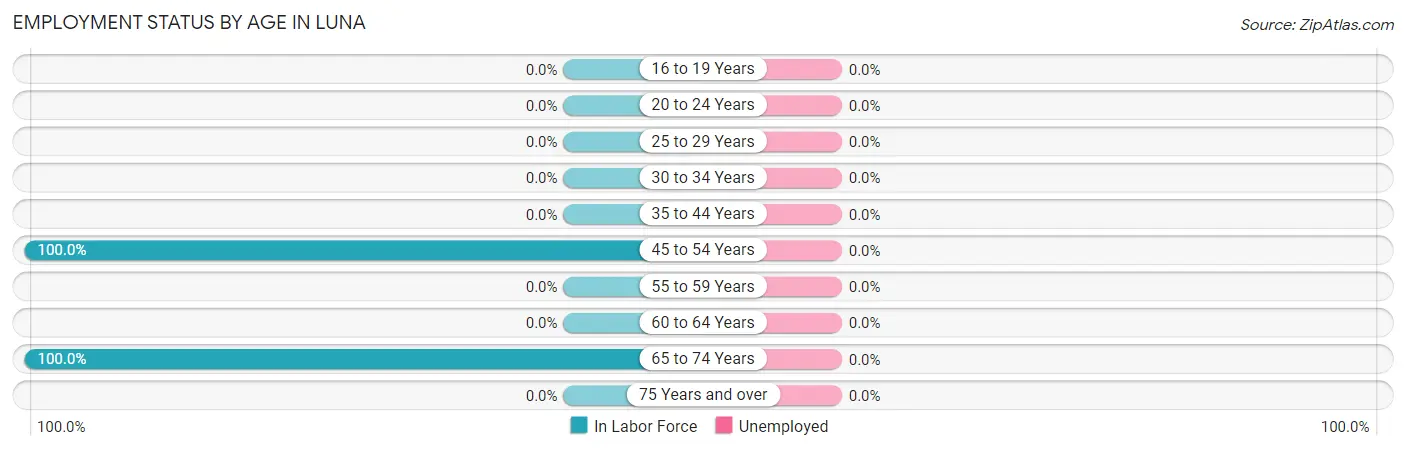 Employment Status by Age in Luna