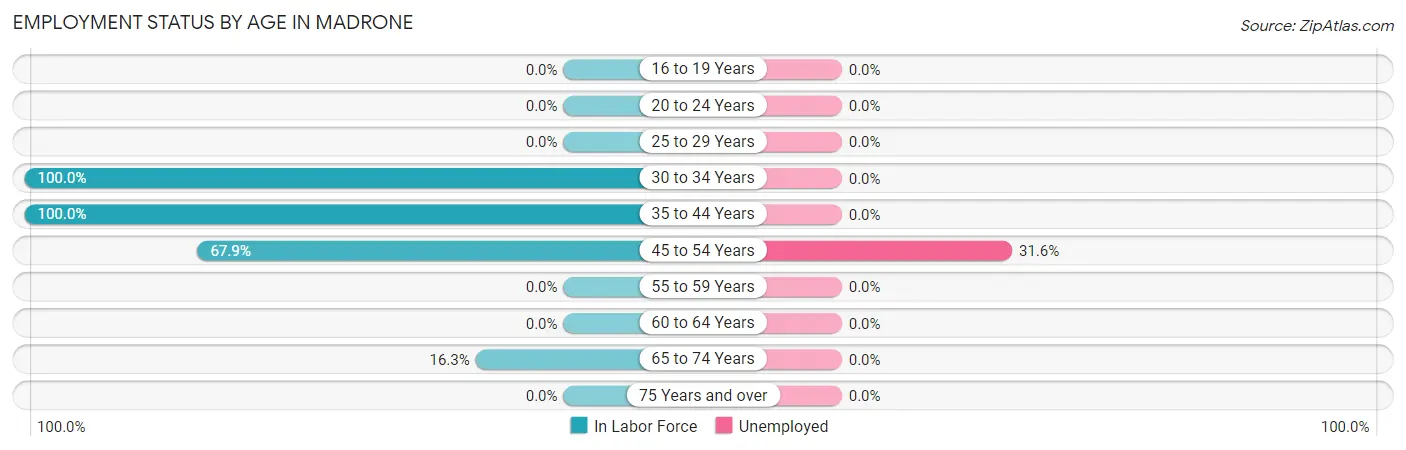 Employment Status by Age in Madrone