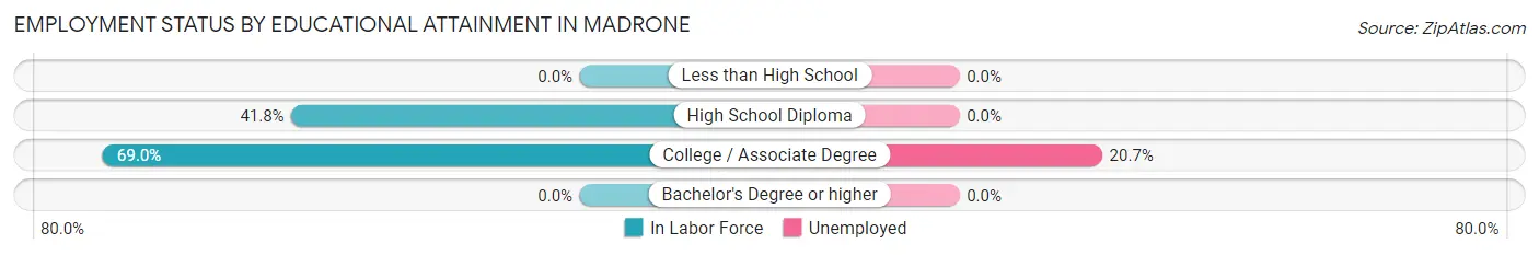 Employment Status by Educational Attainment in Madrone