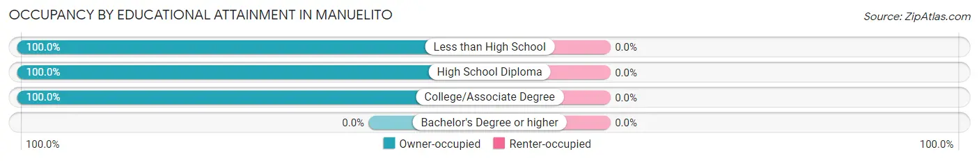 Occupancy by Educational Attainment in Manuelito