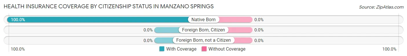 Health Insurance Coverage by Citizenship Status in Manzano Springs