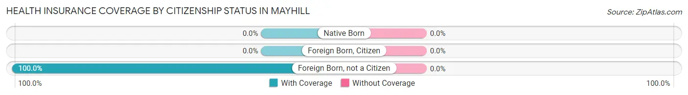 Health Insurance Coverage by Citizenship Status in Mayhill