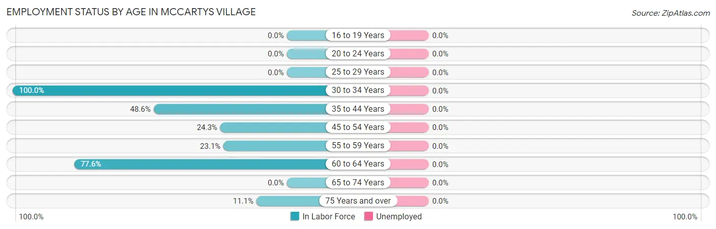 Employment Status by Age in McCartys Village