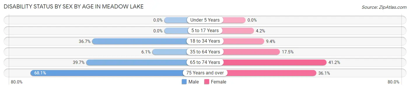 Disability Status by Sex by Age in Meadow Lake