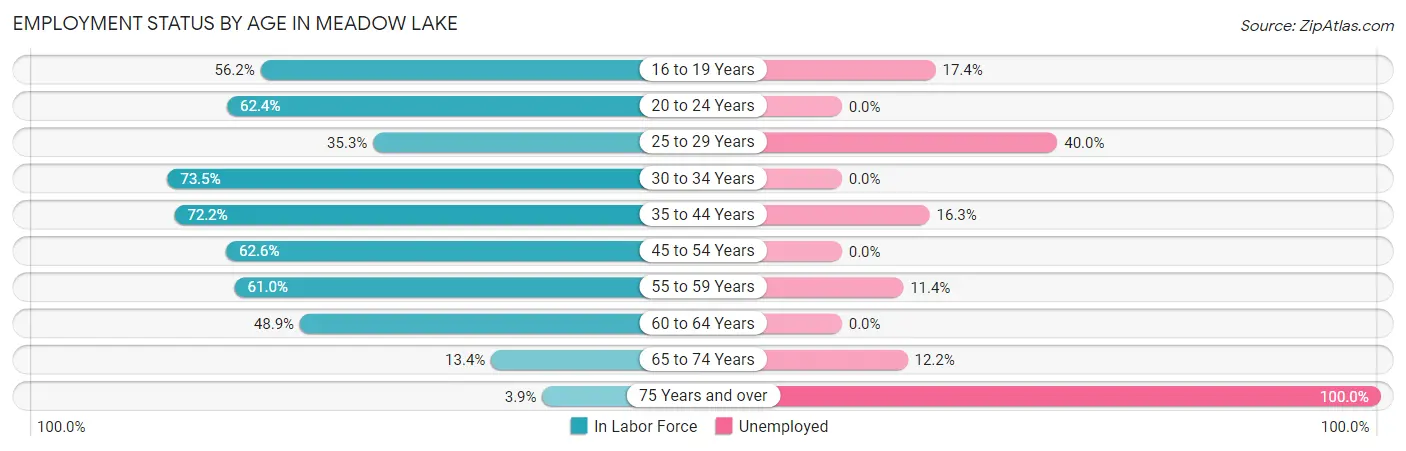 Employment Status by Age in Meadow Lake