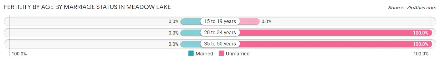 Female Fertility by Age by Marriage Status in Meadow Lake