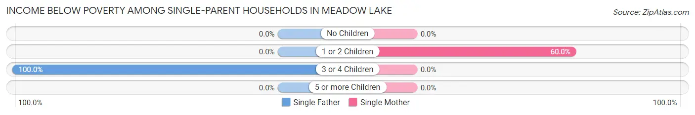 Income Below Poverty Among Single-Parent Households in Meadow Lake