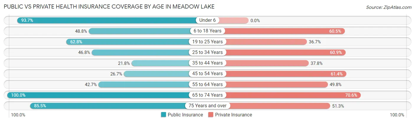 Public vs Private Health Insurance Coverage by Age in Meadow Lake