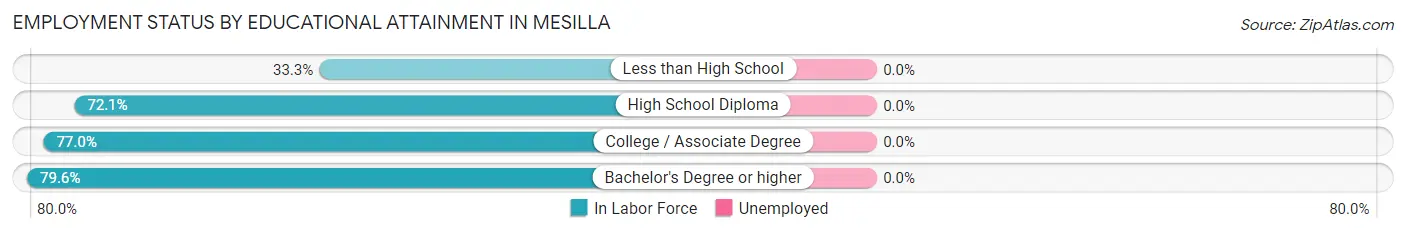 Employment Status by Educational Attainment in Mesilla