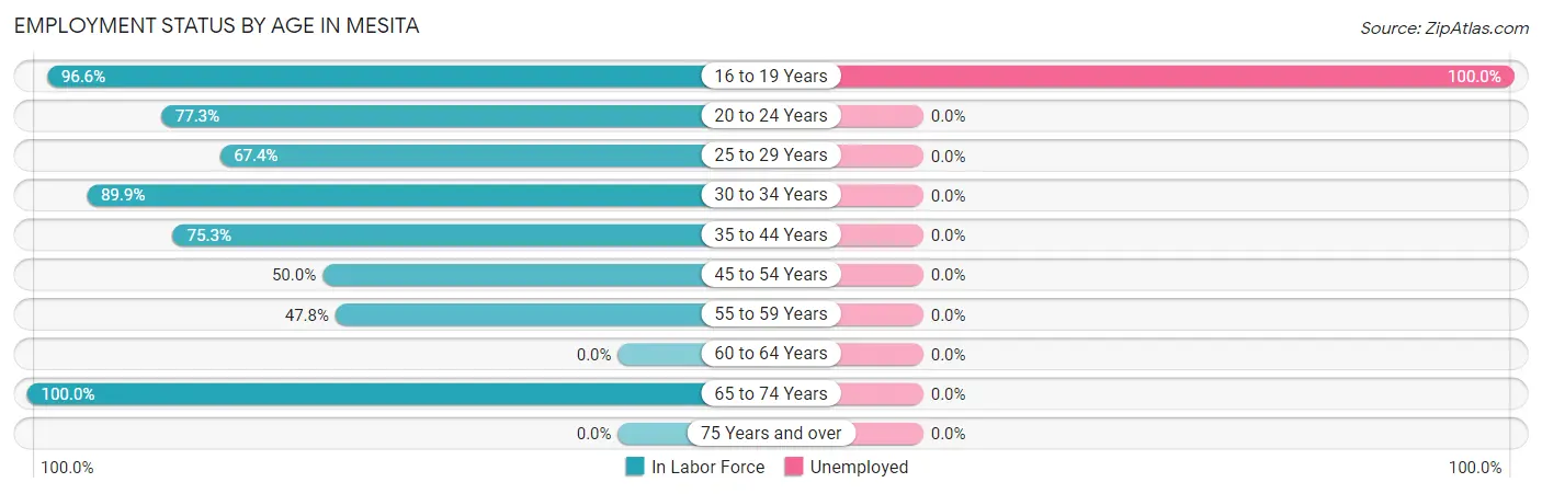 Employment Status by Age in Mesita