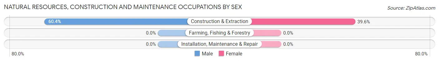 Natural Resources, Construction and Maintenance Occupations by Sex in Mesita