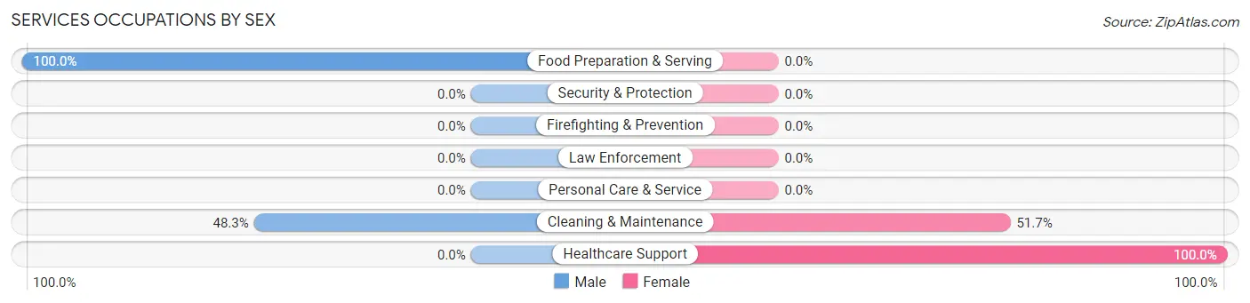 Services Occupations by Sex in Mesita
