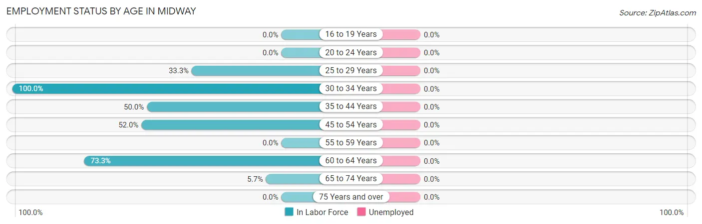 Employment Status by Age in Midway