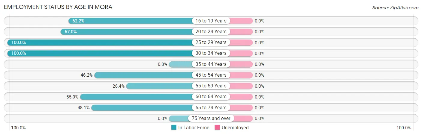 Employment Status by Age in Mora