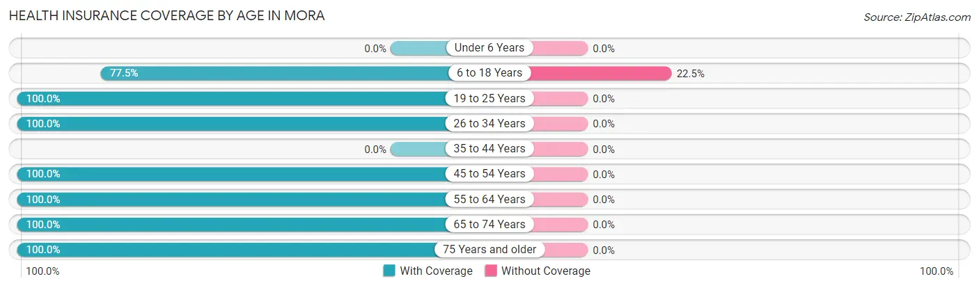 Health Insurance Coverage by Age in Mora