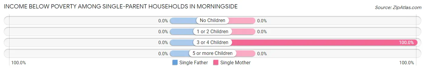 Income Below Poverty Among Single-Parent Households in Morningside
