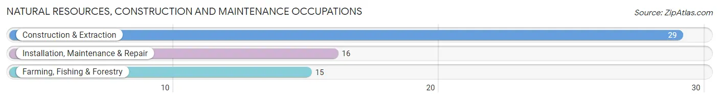 Natural Resources, Construction and Maintenance Occupations in Mountainair