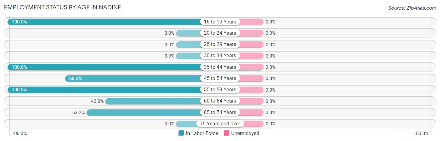 Employment Status by Age in Nadine